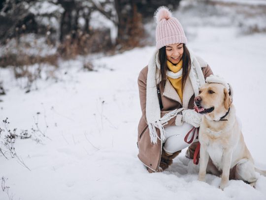 Mróz do −20°C. Jak chronić psy i koty przed wychłodzeniem?