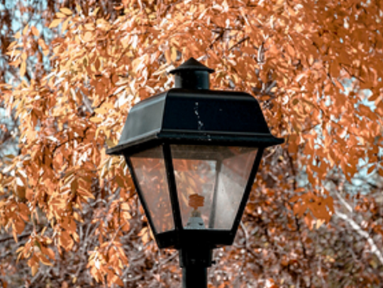 Nowoczesne światło dla parków