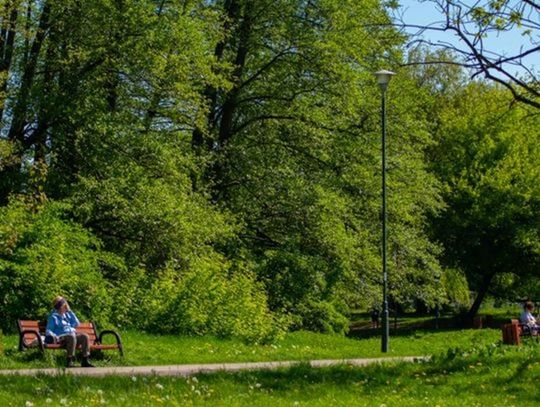 Park Olszyna czekają zmiany? Radny interweniuje w sprawie stawów, alejek i oświetlenia