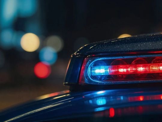 Podrobione dokumenty za 3000 euro – zatrzymanie w urzędzie