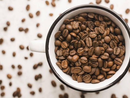 Poznaj różnorodność gatunków i typów kawy – przewodnik