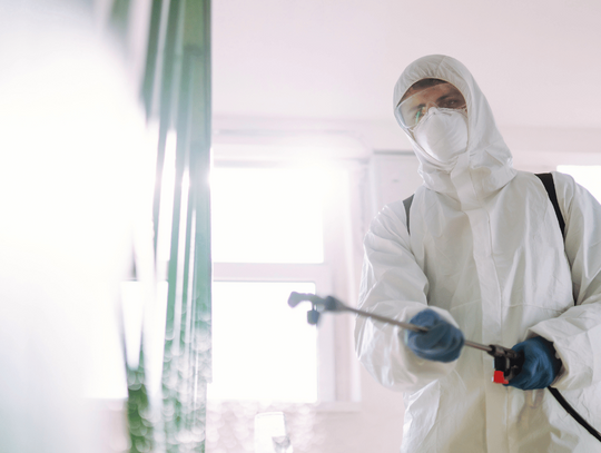 Profesjonalna dezynsekcja w Warszawie – metody, koszty i sprawdzone rozwiązania