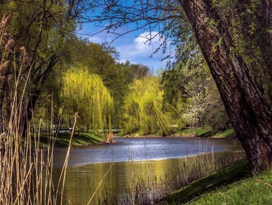 Rodzinny piknik pełen atrakcji w parku Kępa Potocka