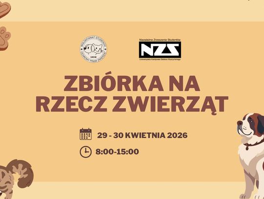 Studenci UKSW pomagają kotom z kampusu. Wyjątkowa zbiórka już pod koniec kwietnia