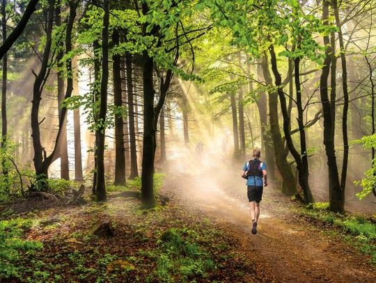 Taniec, bieganie i piknik ekologiczny – Weekend na Bielanach