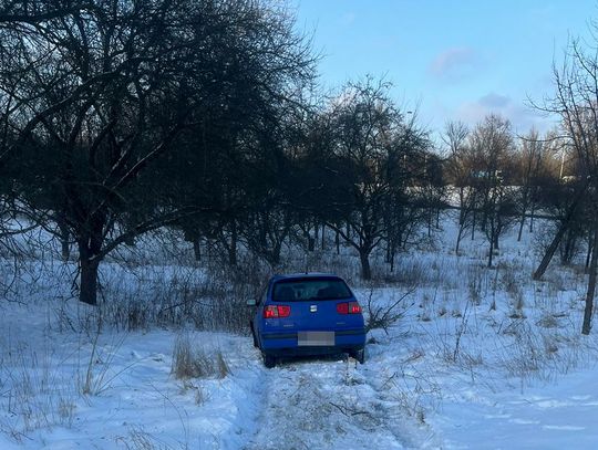 Ucieczka przed policją na Gwiaździstej zakończona na drzewie