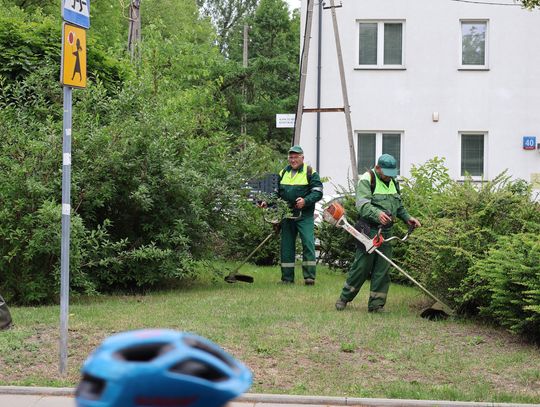 Wielkie koszenie na Bielanach