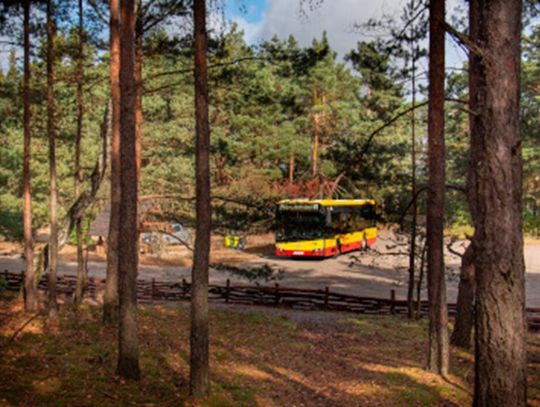 Wróciła kultowa linia 800! Prosty sposób na weekend w Kampinosie i wizytę w Palmirach Wróciła kultowa linia 800! Prosty sposób na weekend w Kampinosie i wizytę w Palmirach