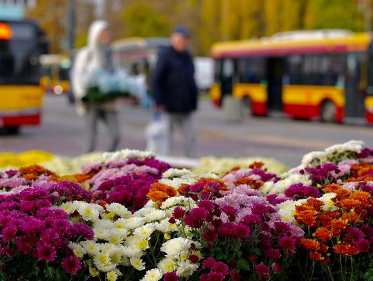 Zmiany w komunikacji przy Cmentarzu Północnym