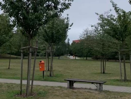 Zniszczone ławki w parku Chomicza. Radny interweniuje