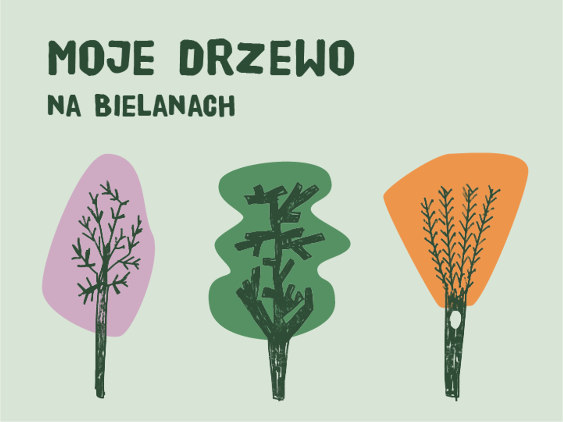 Bądź EKO na Bielanach 2024 - wyniki konkursu plastycznego