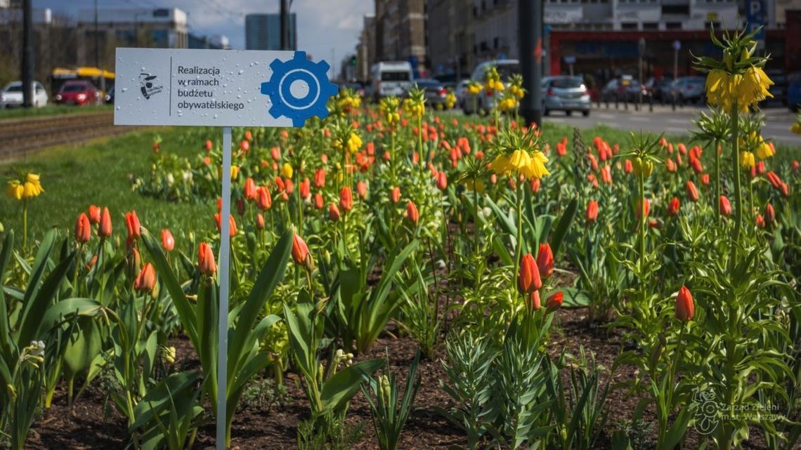 Budżet obywatelski na Bielanach. Jakie pomysły trafią pod głosowanie?