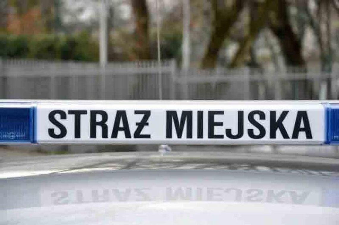 Chcieli uspokoić pijanego klienta, a interweniowali też wobec ekspedientki