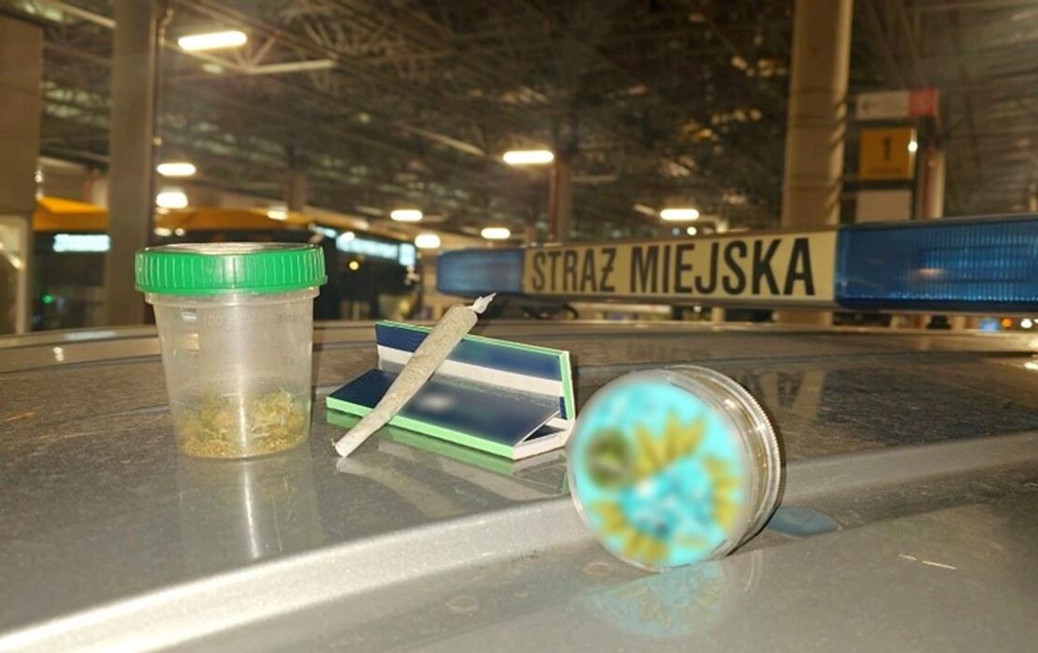 Chcieli zapalić marihuanę przy pętli Młociny