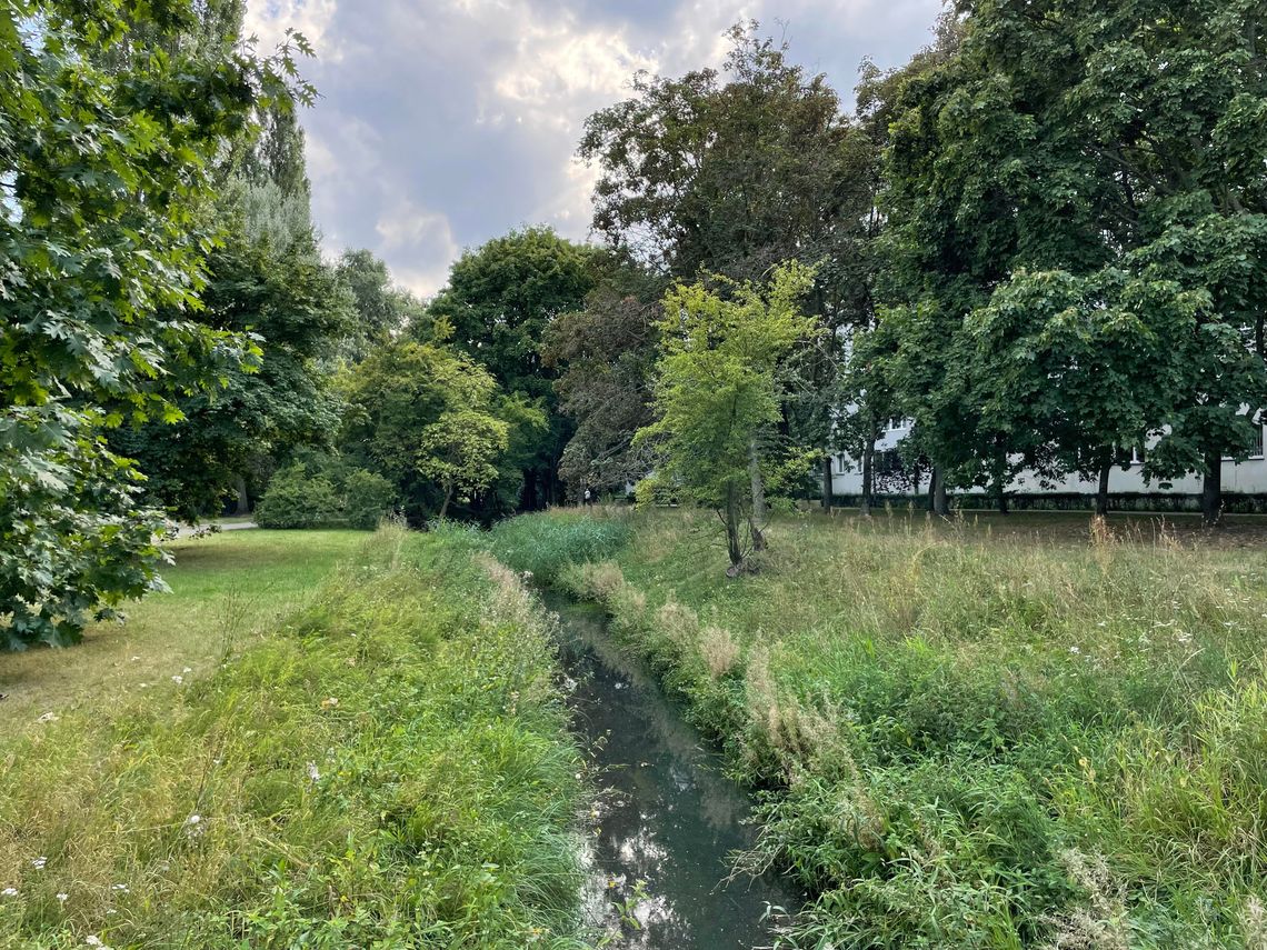 Co z potokiem na Chomiczówce? Radny reaguje
