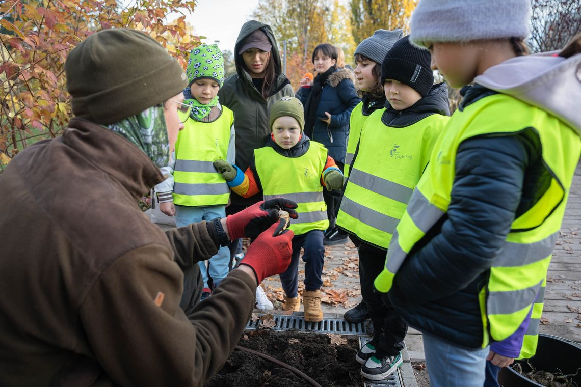 Dzielnica rozkwita! Ruszyło sadzenie 100 tysięcy kwiatów cebulowych