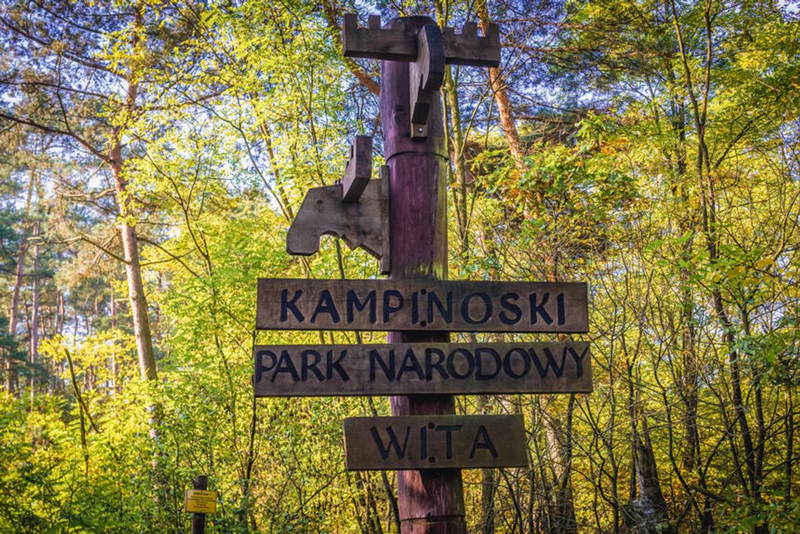 Festiwal Kampinosu 2025