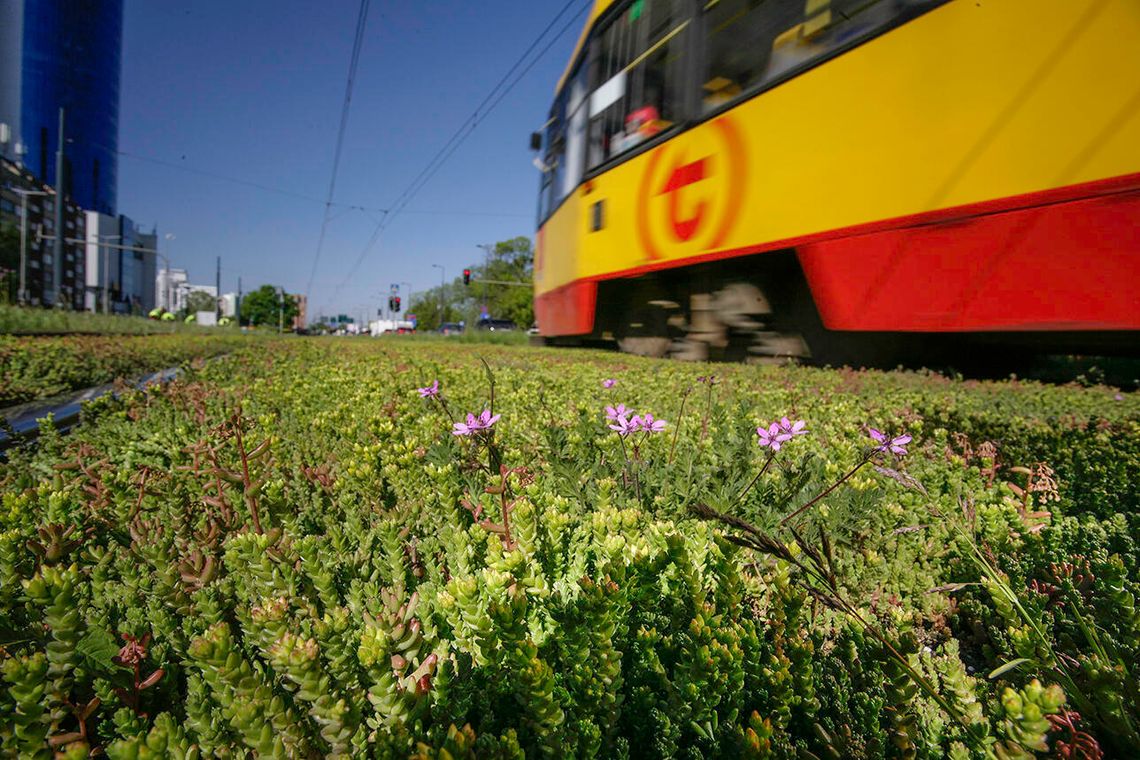 Komunikacja miejska w czasie Świąt Wielkanocnych