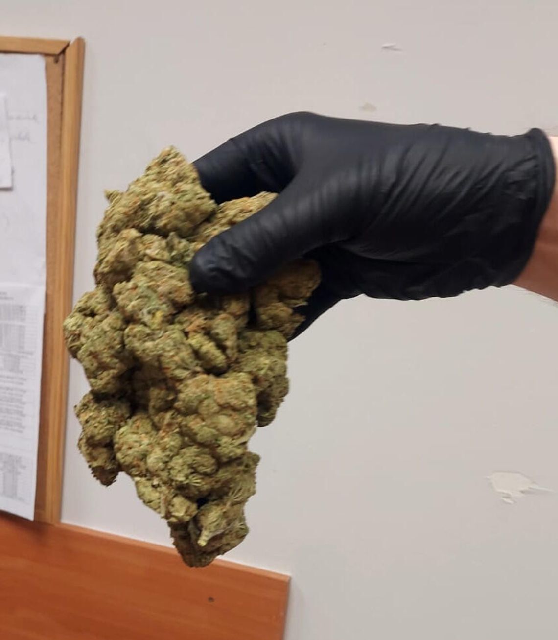 Kryminalni przejęli dużą ilość narkotyków