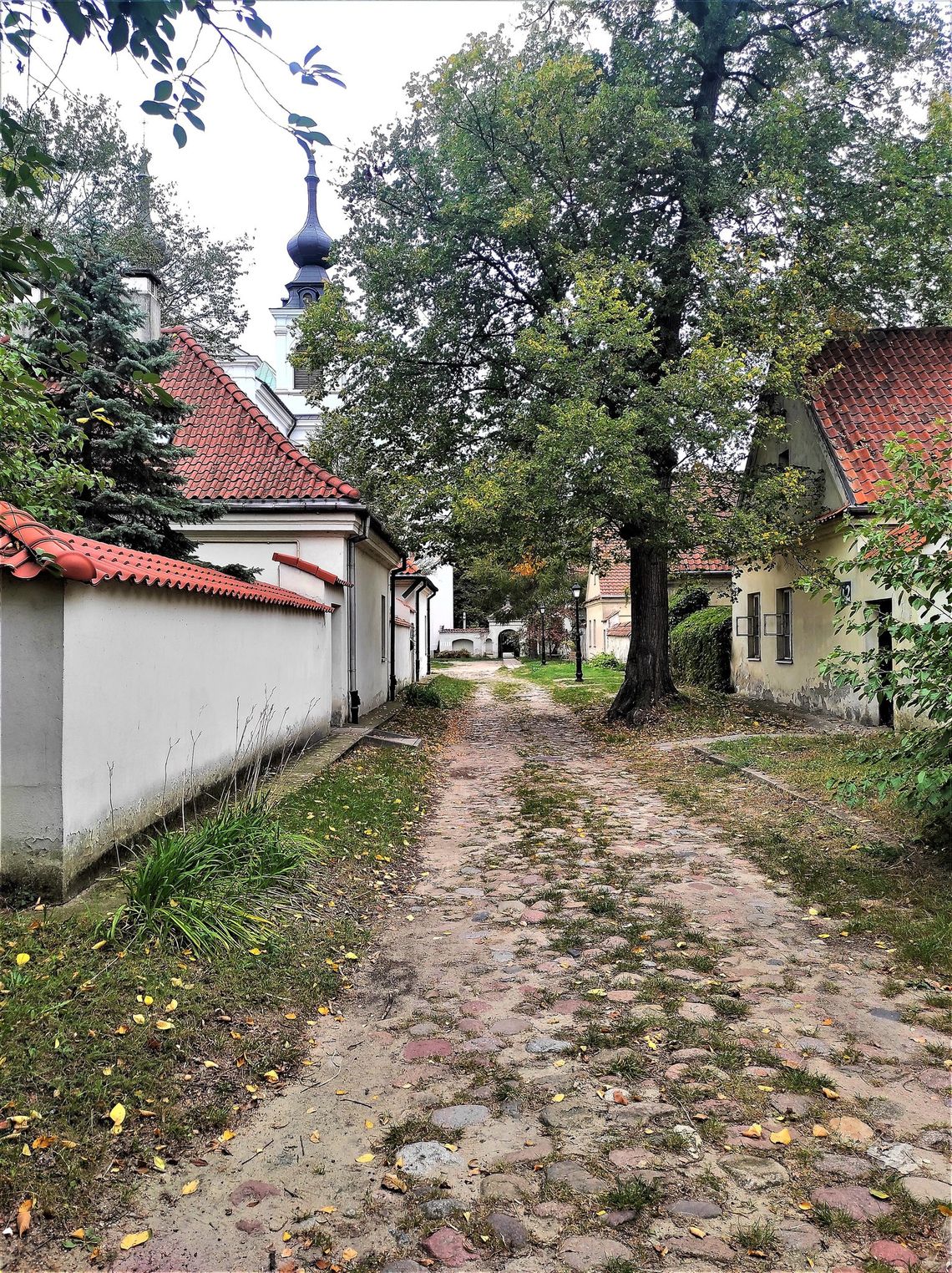 Między zielenią i bielą. Warszawskie Bielany w epoce nowożytnej - spacer historyczny