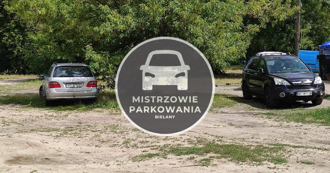 Mistrzowie parkowania #10