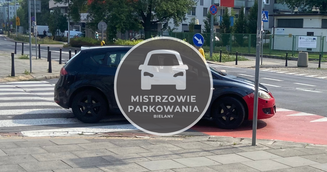 Mistrzowie Parkowania #11 - należy się mandat!