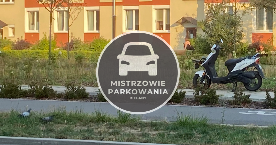 Mistrzowie Parkowania #19 - trzeba interweniować!