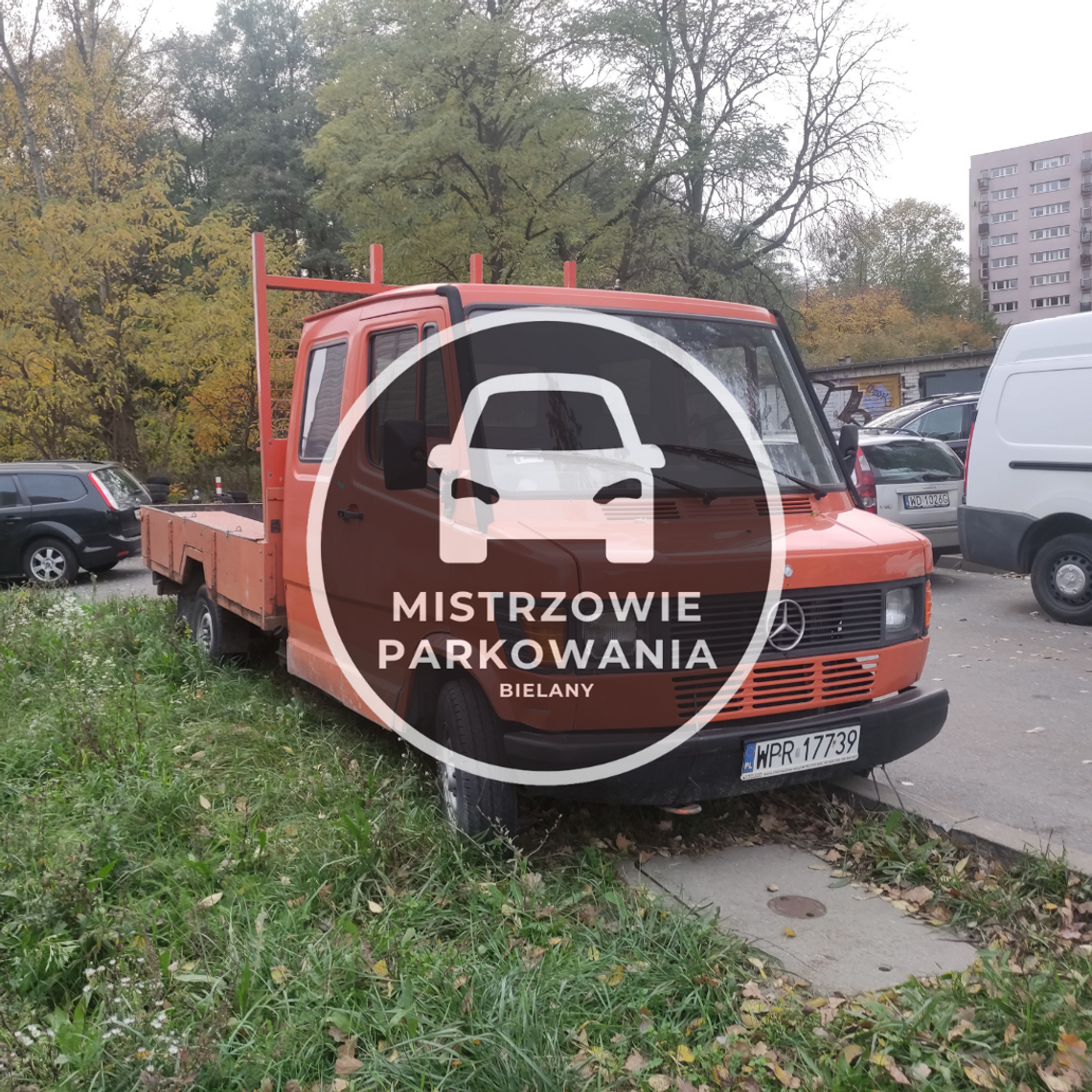 Mistrzowie parkowania #33