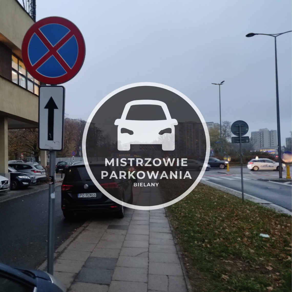 Mistrzowie parkowania #34