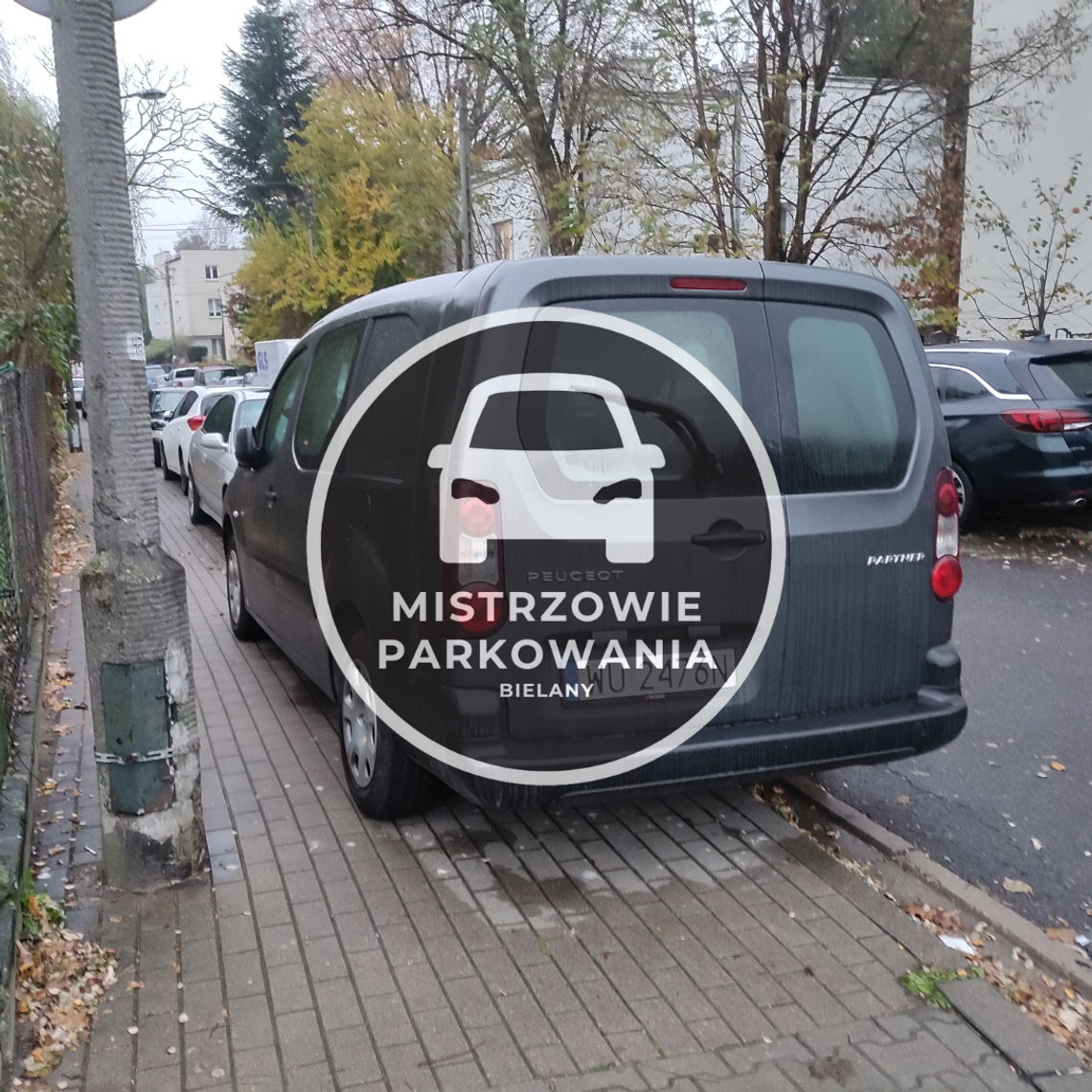 Mistrzowie parkowania #35