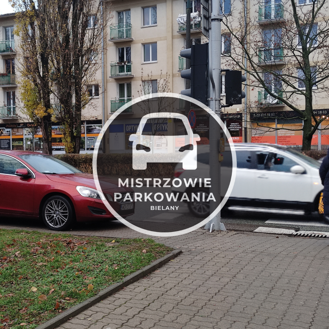 Mistrzowie parkowania #37