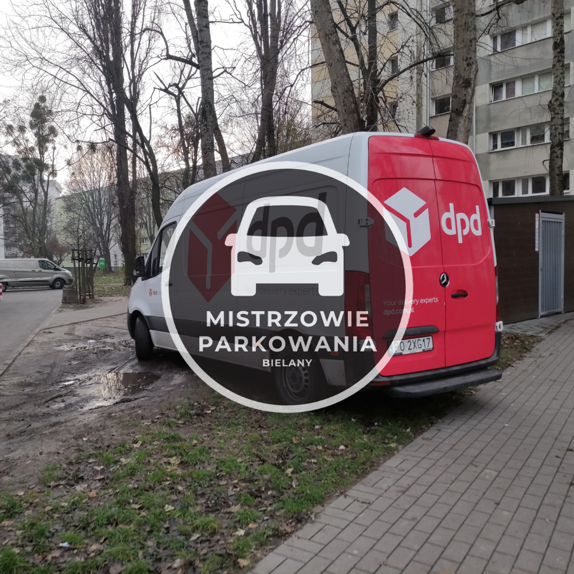 Mistrzowie parkowania #38