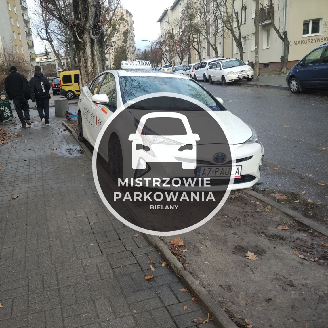Mistrzowie parkowania #42 Mistrzowie parkowania #42