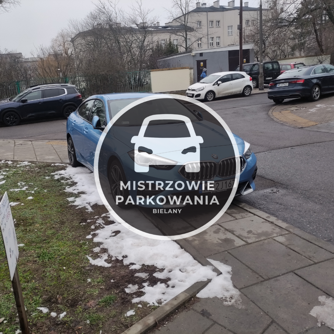 Mistrzowie parkowania #44