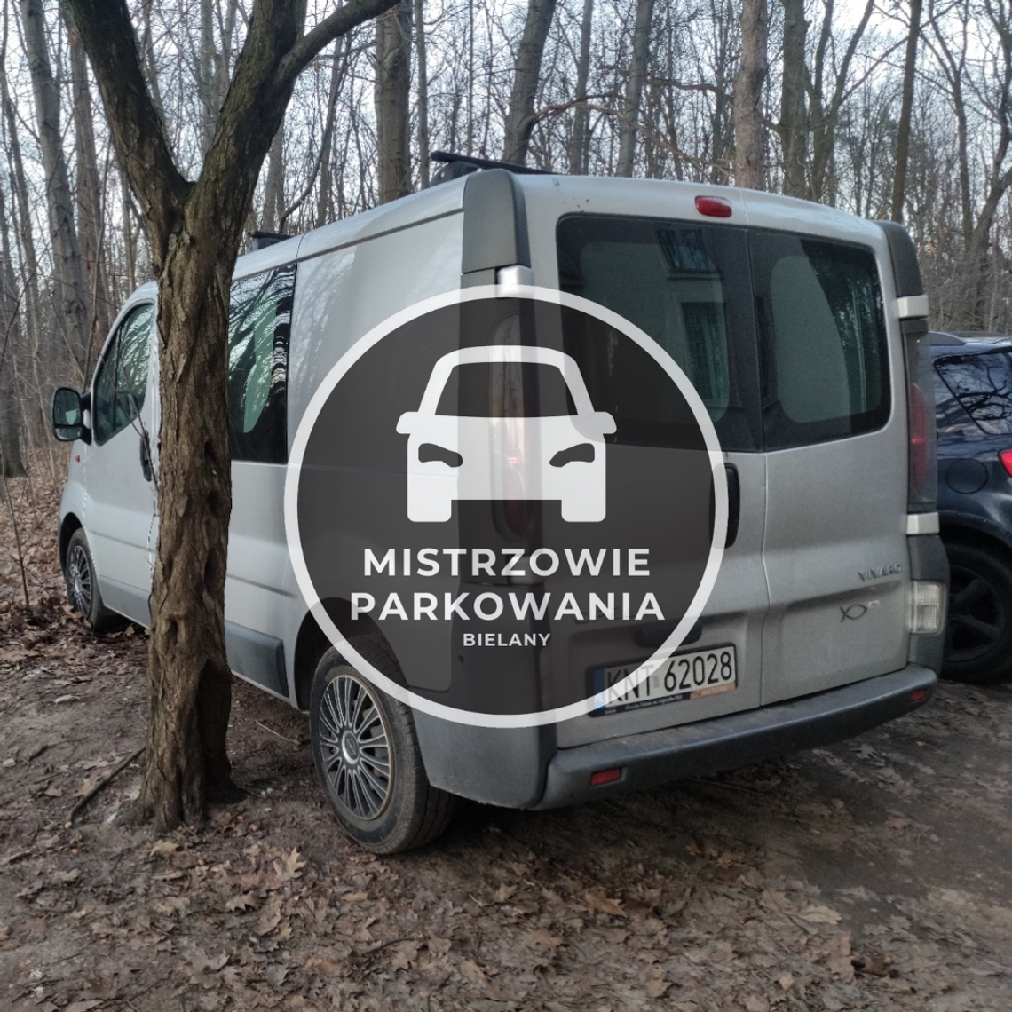 Mistrzowie parkowania #46