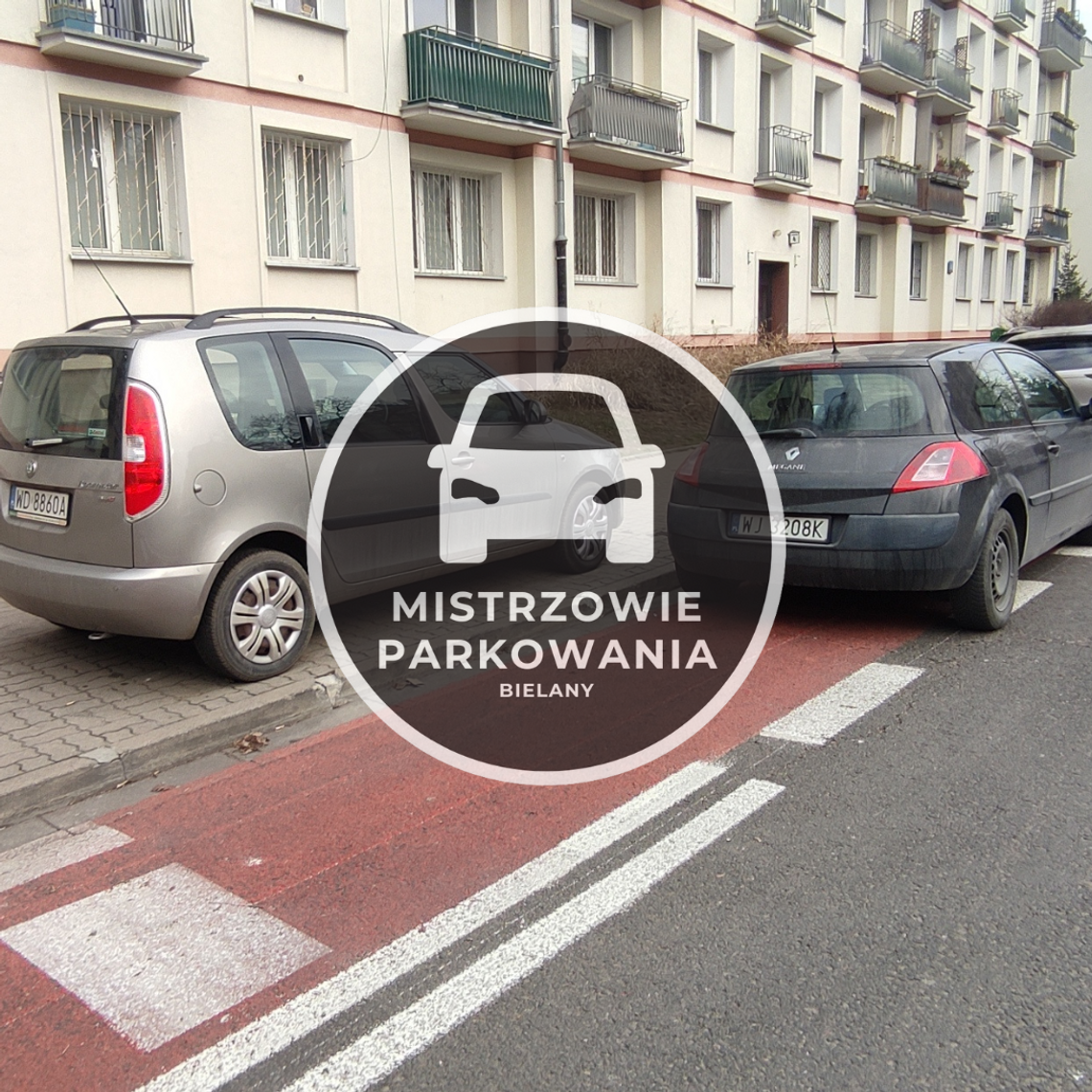 Mistrzowie parkowania #48 Mistrzowie parkowania #48