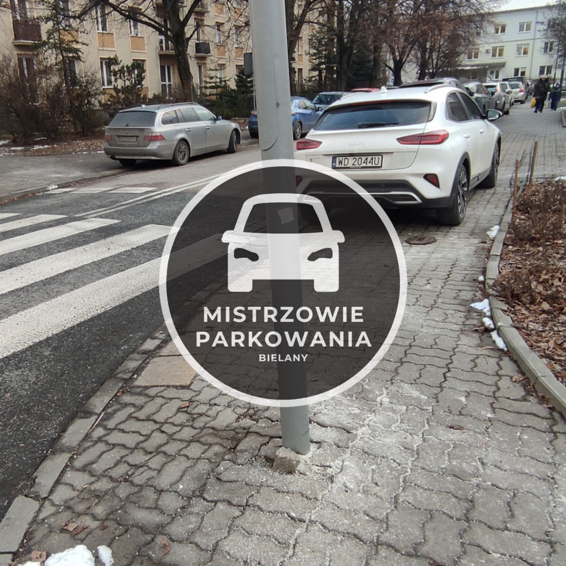Mistrzowie parkowania #50