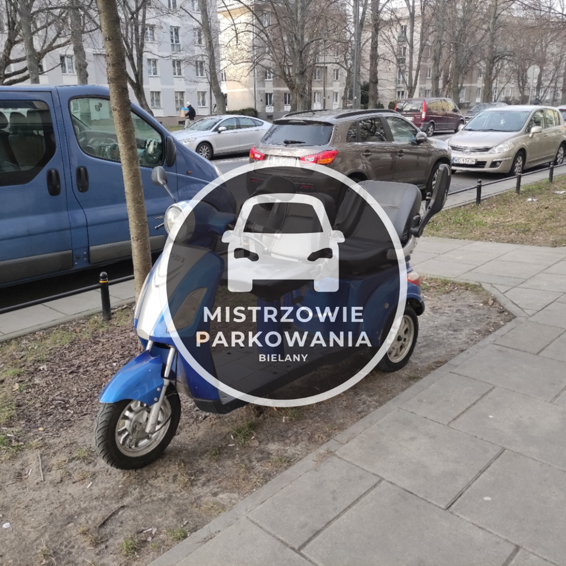 Mistrzowie parkowania #51