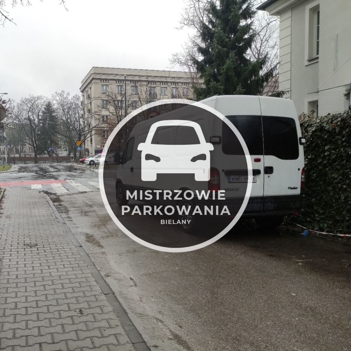 Mistrzowie parkowania #52