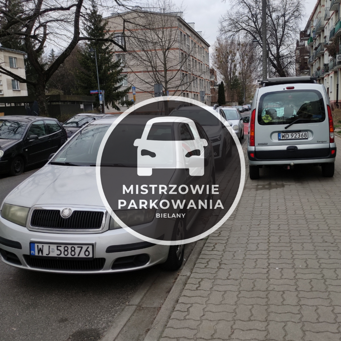 Mistrzowie parkowania #54