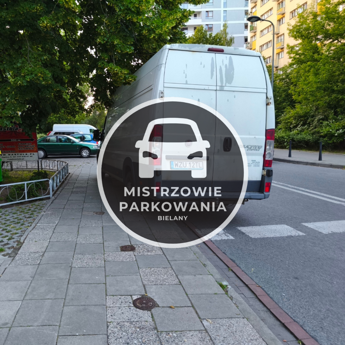Mistrzowie parkowania #64