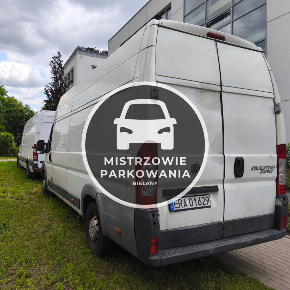 Mistrzowie parkowania #65