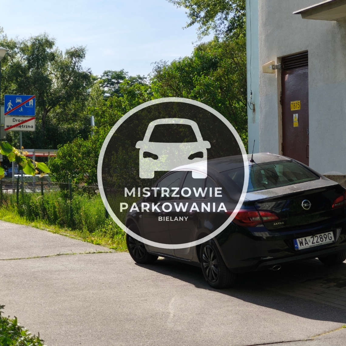 Mistrzowie parkowania #67