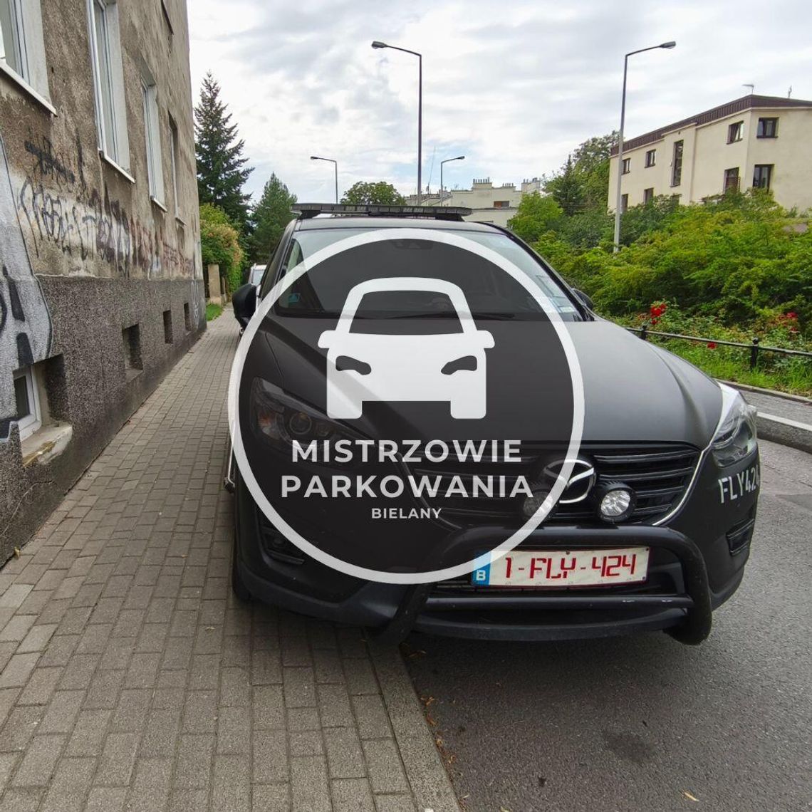 Mistrzowie parkowania #69