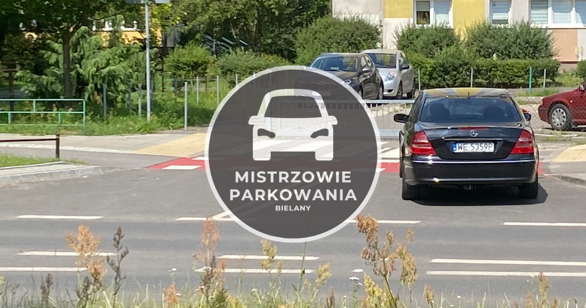 Mistrzowie Parkowania #7