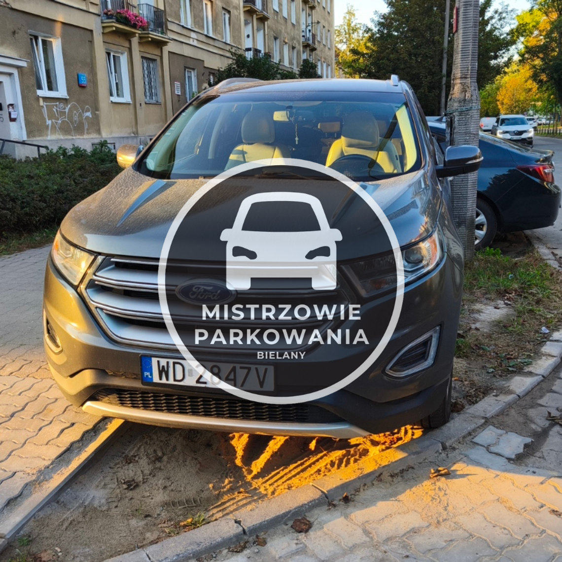 Mistrzowie parkowania #70 Mistrzowie parkowania #70