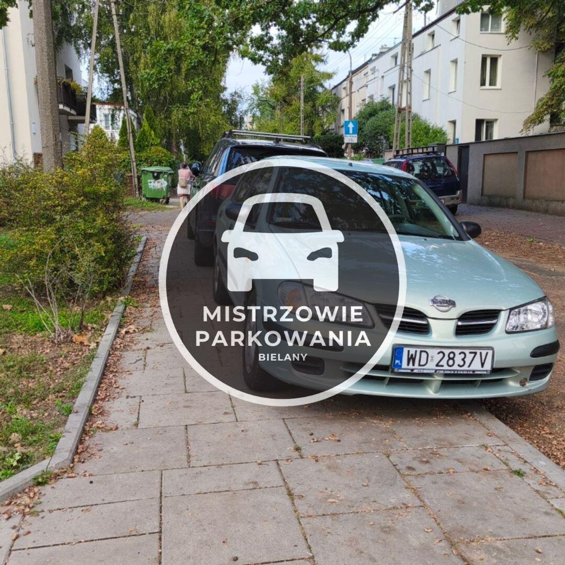 Mistrzowie parkowania #71