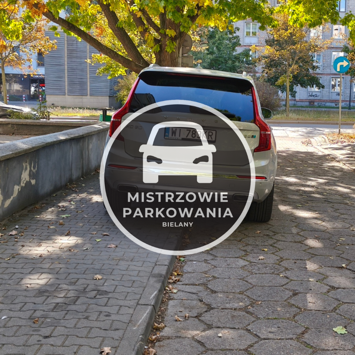 Mistrzowie parkowania #73