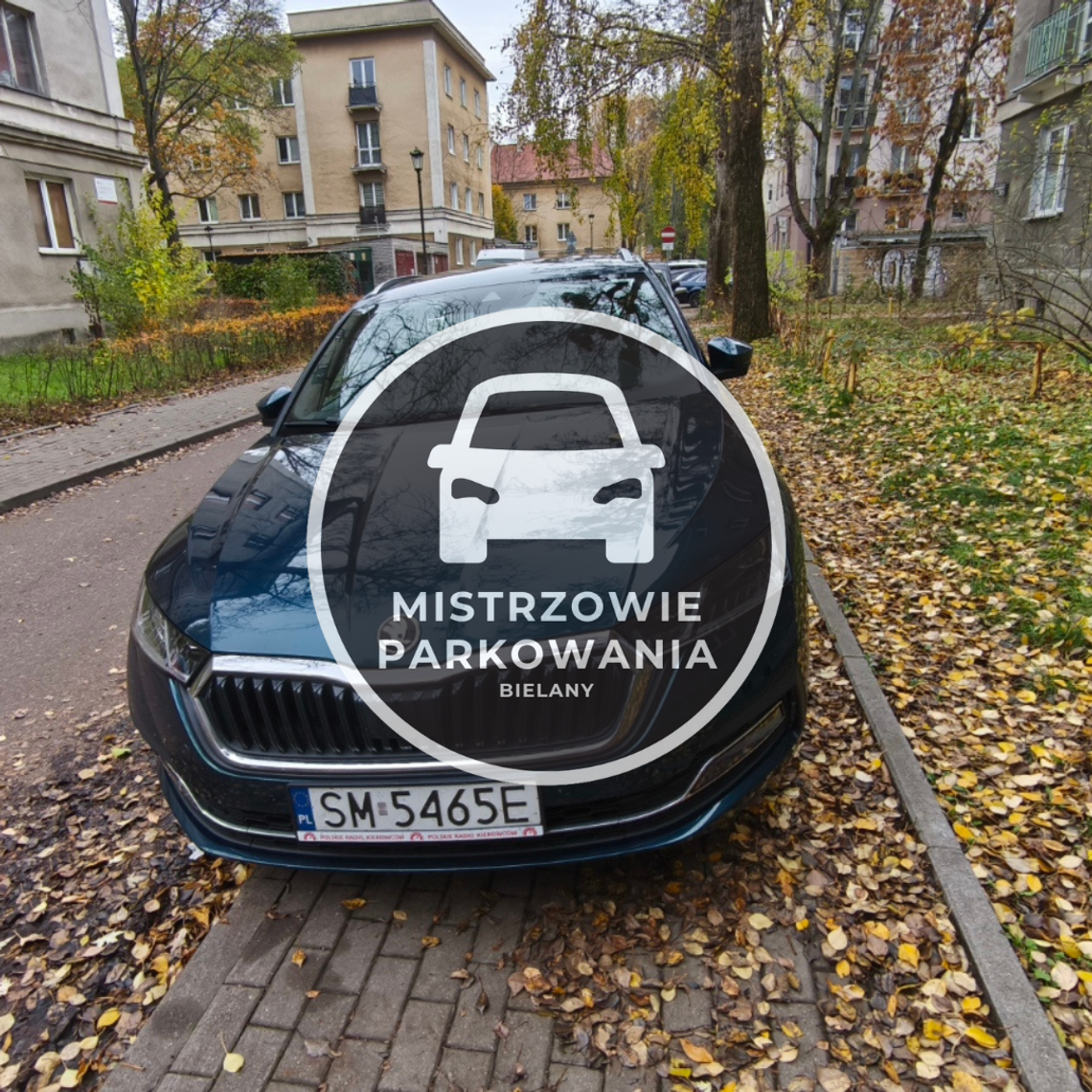 Mistrzowie parkowania #74