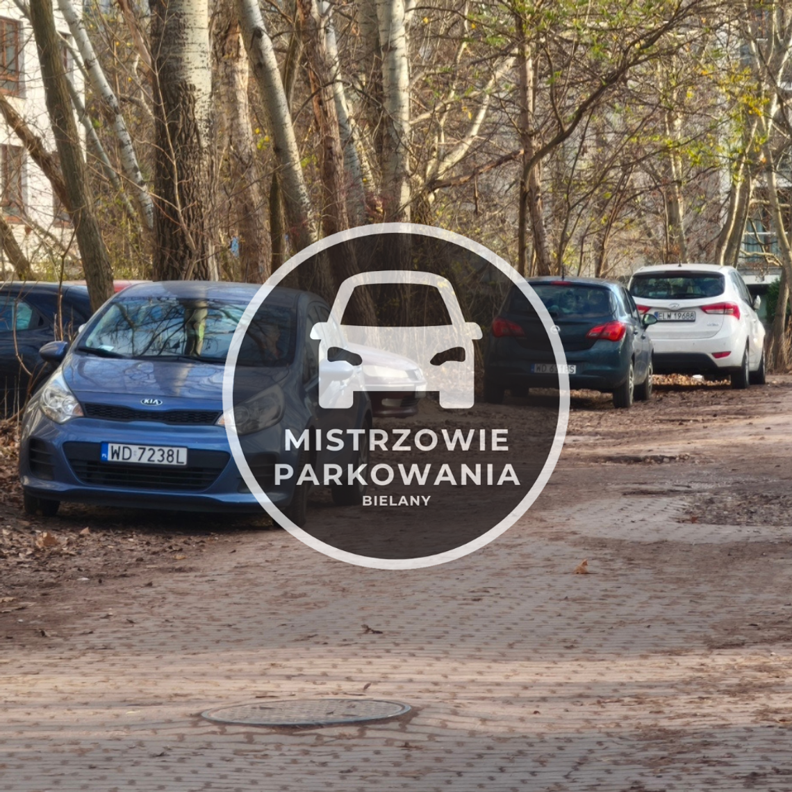 Mistrzowie parkowania #75